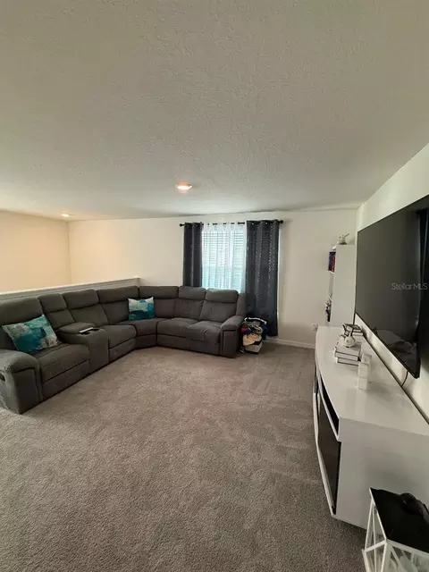 Other - 10662 Chippewa Dr, Parrish, FL 34219 photo 1 of 5