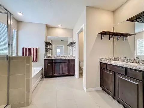 Bath - 13071 Brookside Moss Dr, Riverview, FL 33579 photo 2 of 7