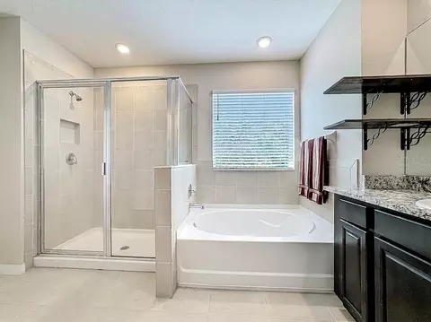 Bath - 13071 Brookside Moss Dr, Riverview, FL 33579 photo 4 of 7