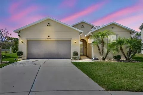 10567 Laguna Plains Dr, Riverview, FL 33578