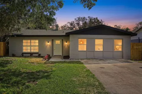 10217 N Pawnee Ave, Tampa, FL 33617