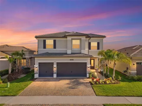 32626 Tree Of Life Ave, Wesley Chapel, FL 33543