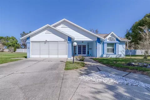 11525 Forest Run Ct, Port Richey, FL 34668