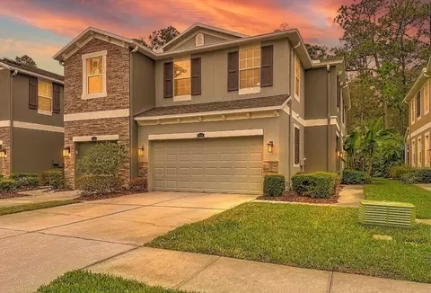 12516 Streamdale Dr, Tampa, FL 33626