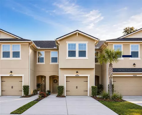 14205 Damselfly Dr, Tampa, FL 33625