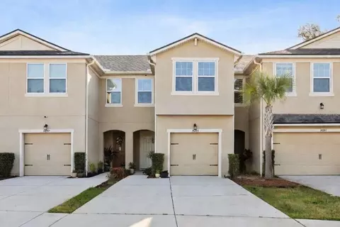 14205 Damselfly Dr, Tampa, FL 33625