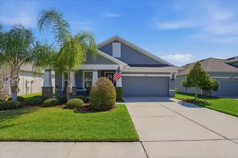 13326 Palmera Vista Dr, Riverview, FL 33579