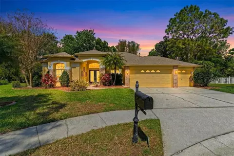 8817 Wavyedge Ct, Trinity, FL 34655