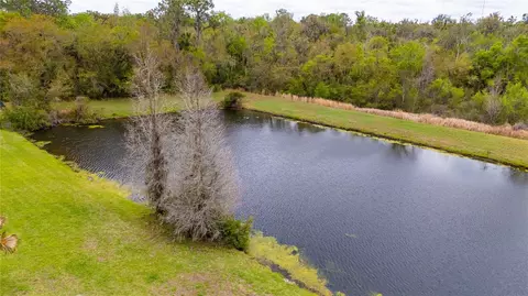 View/Area - 6111 Heroncrest Ct, Lithia, FL 33547 photo 1 of 2