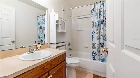 Bath - 6111 Heroncrest Ct, Lithia, FL 33547 photo 2 of 2