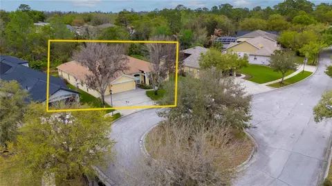View/Area - 6111 Heroncrest Ct, Lithia, FL 33547 photo 2 of 2