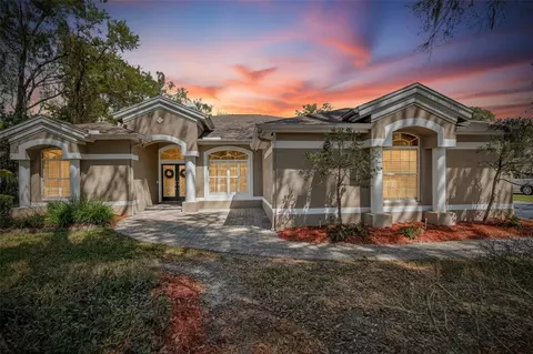 5838 Audubon Manor Blvd, Lithia, FL 33547