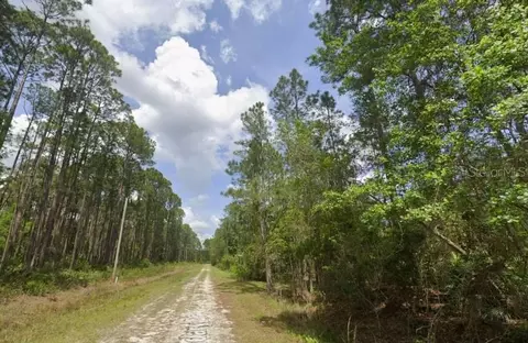 138 Mosswood St, Georgetown, FL 32139