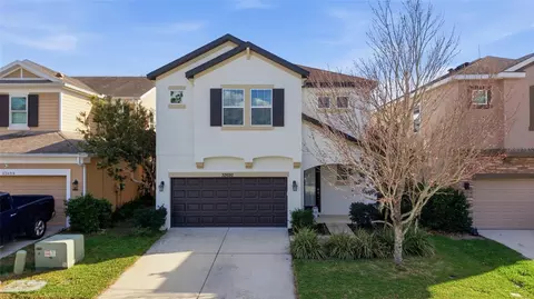 32692 Windelstraw Dr, Wesley Chapel, FL 33545