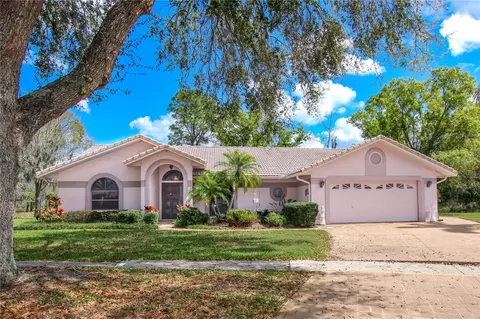 1003 Calle Rosa Pl, Sun City Center, FL 33573