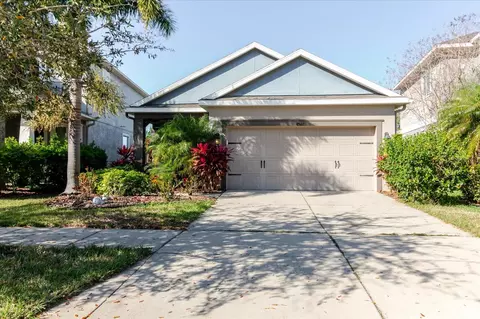 6516 Salt Creek Ave, Apollo Beach, FL 33572