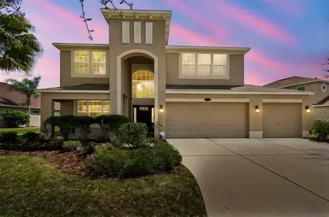 10837 Breaking Rocks Dr, Tampa, FL 33647