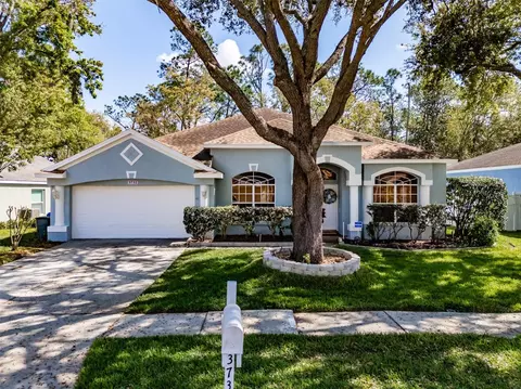 3732 Hollow Wood Dr, Valrico, FL 33596