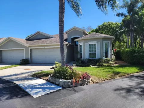 10115 Mowry Ln, Tampa, FL 33625
