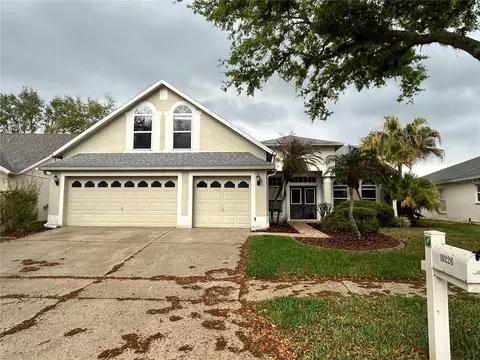 10226 Timberland Point Dr, Tampa, FL 33647