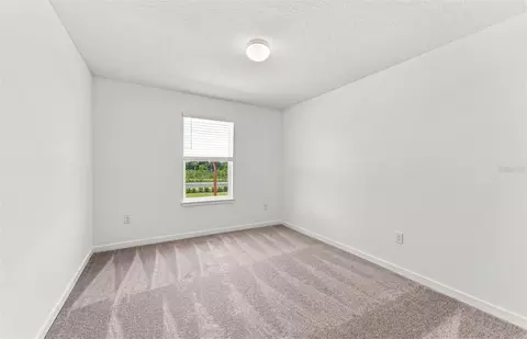 Bedroom - 9877 Trellis Vine Way, Parrish, FL 34219 photo 4 of 5