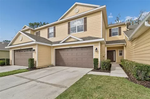 20112 Indian Rosewood Dr, Tampa, FL 33647