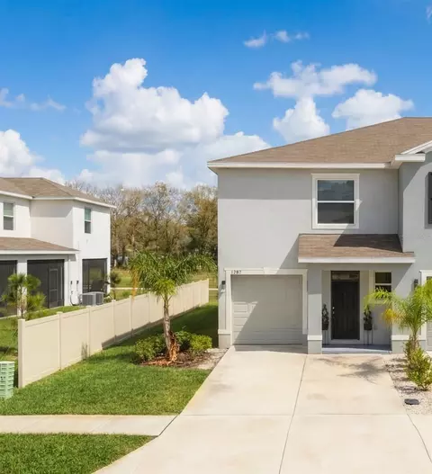 1287 Colt Creek Pl, Wesley Chapel, FL 33543