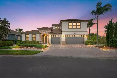 31335 Driscoll Dr, Wesley Chapel, FL 33543