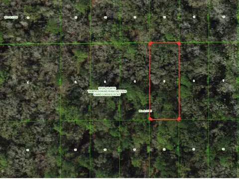 Unassigned, Wesley Chapel, FL 33544