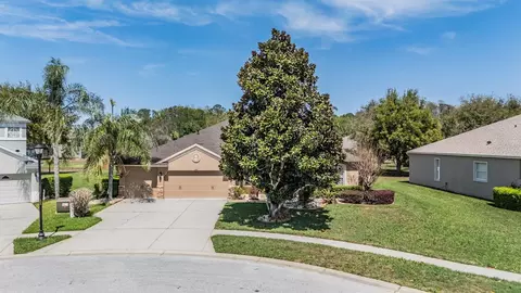 19101 Lone Creek Ct, Land O Lakes, FL 34638