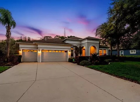 19420 Autumn Chase Ct, Land O Lakes, FL 34638