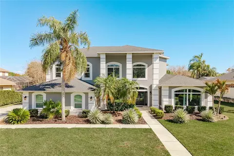 4010 Executive Dr, Palm Harbor, FL 34685