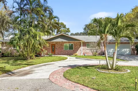 2817 Fleeman Rd, Palm Harbor, FL 34683