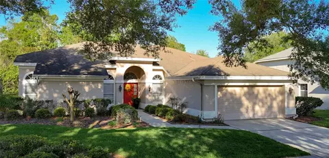 9126 Rockrose Dr, Tampa, FL 33647