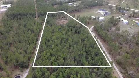 1 Wild Cur Rd, Pierson, FL 32180