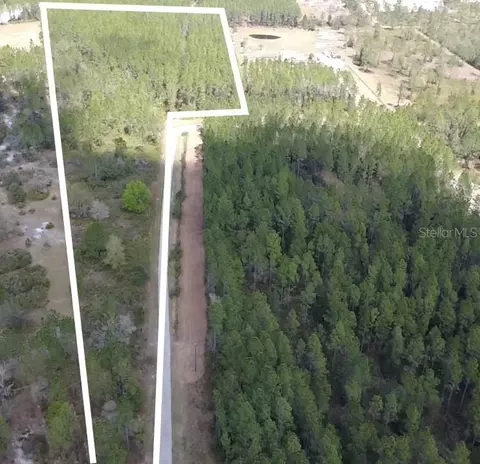 Wild Cur Road, Pierson, FL 32180