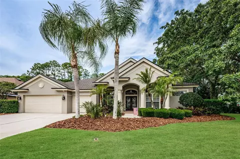 4604 Ayron Ter, Palm Harbor, FL 34685