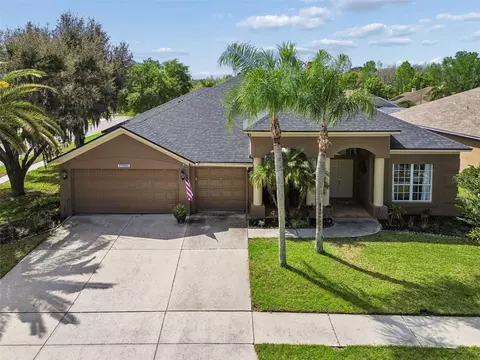 17906 Sparrows Nest Dr, Lutz, FL 33558