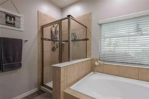 Bath - 2814 Maple Brook Loop, Lutz, FL 33558 photo 2 of 3