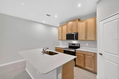 8823 Ginko Run, Parrish, FL 34219 photo 9