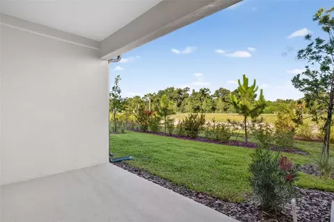 8823 Ginko Run, Parrish, FL 34219 photo 26