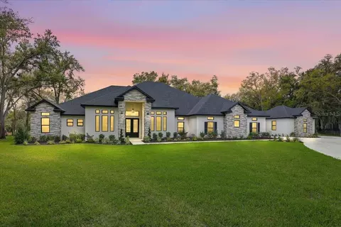 3317 Chase Jackson Br, Lutz, FL 33559