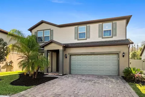 19261 Mossy Pine Dr, Tampa, FL 33647