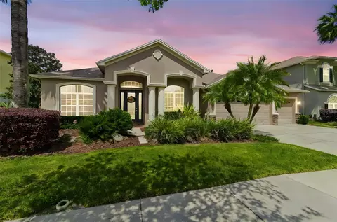 3400 Marble Crest Dr, Land O Lakes, FL 34638
