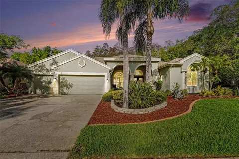 4491 Fallbrook Blvd, Palm Harbor, FL 34685
