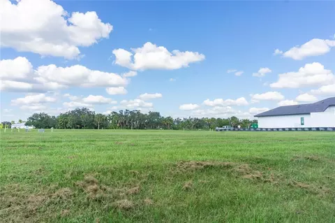 11609 Bayou Cv, Parrish, FL 34219 photo 22