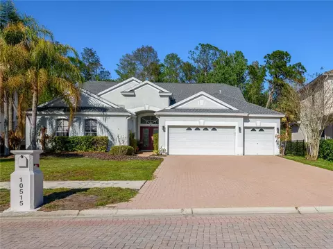 10515 Canary Isle Dr, Tampa, FL 33647