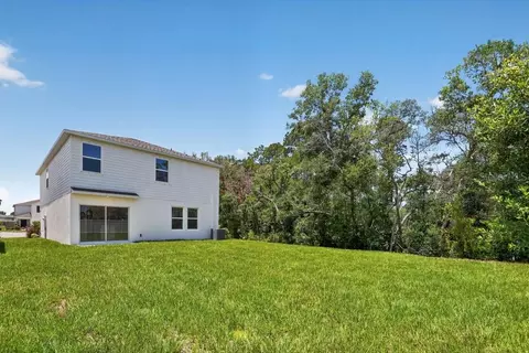 Exterior - 12411 Gust Ct, Hudson, FL 34669 photo 2 of 11