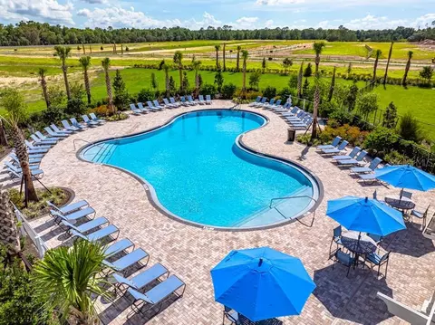 Exterior - 12411 Gust Ct, Hudson, FL 34669 photo 7 of 11