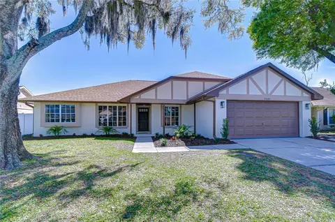 15143 Springview St, Tampa, FL 33624